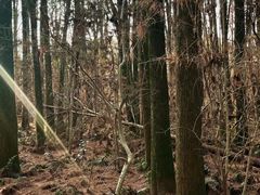-同里国家湿地公园
