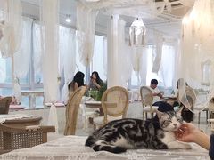 大堂-共舞时光猫咖·狗咖(新街口店)