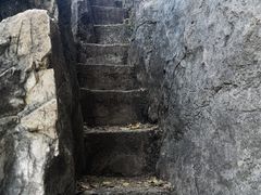 -西华公园