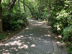 -宝岩生态观光园