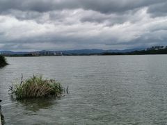 -星巴克(成都科学城店)