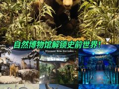 -陕西自然博物馆