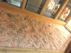 -丽池宫韩式汗蒸会馆(华灯坊店)