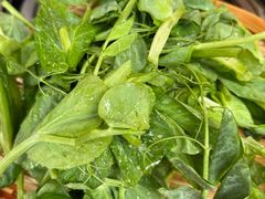 -阿山卓·野生菌火锅·纳西火塘烤肉