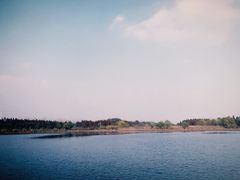 -溱湖国家湿地公园