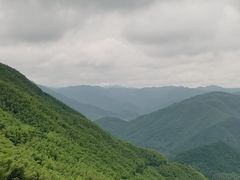 -宁波浙东大竹海景区