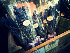 -富田农场