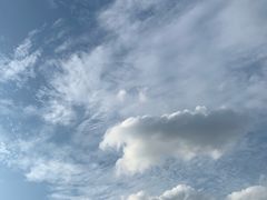 -古乐牛香·鲜牛肉牛杂火锅(梅村五洲国际店)