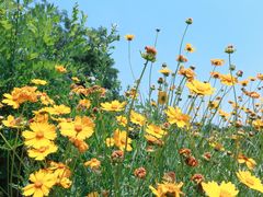 -南京市江宁方山