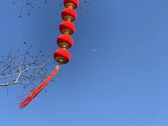 -良渚古城遗址公园