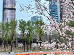 -大望京公园