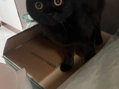 -派特宠物医院(圆融广场店)