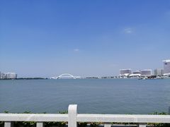 -五缘湾湿地公园