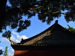 -建水文庙