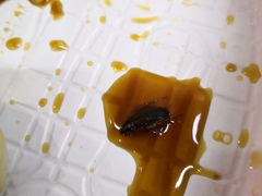 -东北人粗粮饺子坊(南山店)