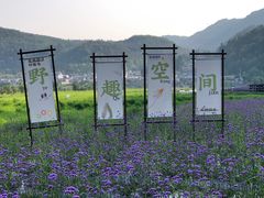 -腾冲北海湿地
