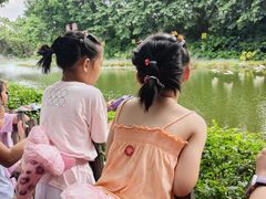 -广州长隆飞鸟乐园