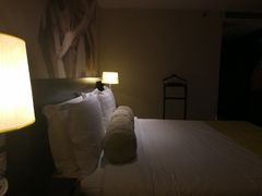 -国家会议中心大酒店