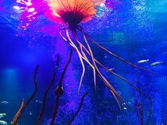 -沈阳海洋探索中心