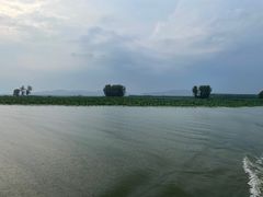 -微山湖红荷湿地景区