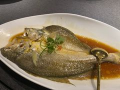-羲和雅苑•北京烤鸭(国贸商城店)