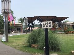 -上海长兴岛郊野公园