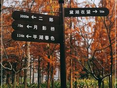 -重庆彩云湖湿地公园