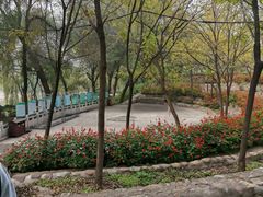 -东方巨龟苑景区