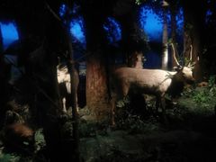 -大连自然博物馆·地球展厅