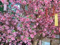 -台山颐和温泉城