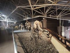 -世界恐龙谷景区