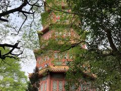 -房湖公园