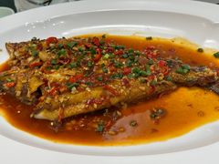-饭怕鱼·黄焖鲟龙鱼(湖大店)