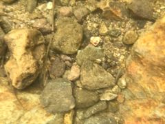 -安吉龙王山峡谷漂流