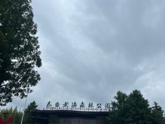 -黄海国家森林公园