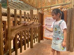 -杭州开元森泊度假乐园