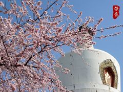 -妙应寺白塔