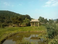 -龙寺生态园