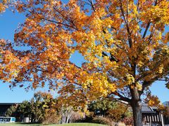 -北京雁栖湖国际会展中心