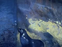 -鄂尔多斯野生动物园