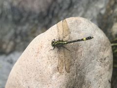 -白河湾生态旅游一条川