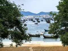 -春妮海味饭店·海景餐厅·海菜包子·大连海鲜