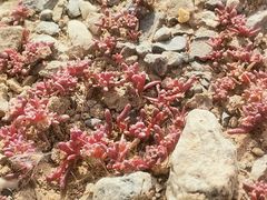 -克孜尔尕哈烽燧世界文化遗产公园