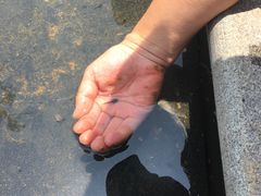 -梁子湖东篱老屋生态庄园