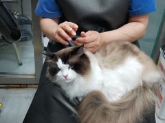 -宠福鑫康馨动物医院·骨科·眼科