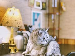 -隅cafe(傅厚岗店)