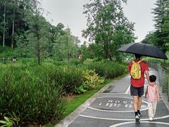 -鹅滋道(甘坑古镇店)