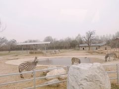 -西安秦岭野生动物园