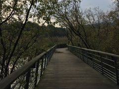-西湖风景区-江洋畈生态公园