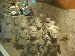 -济州岛泰迪熊博物馆